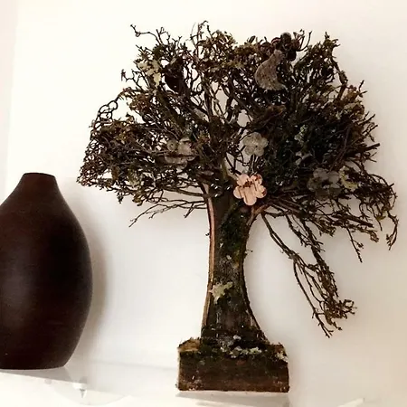 Appartement Wissembourg Wissembourg