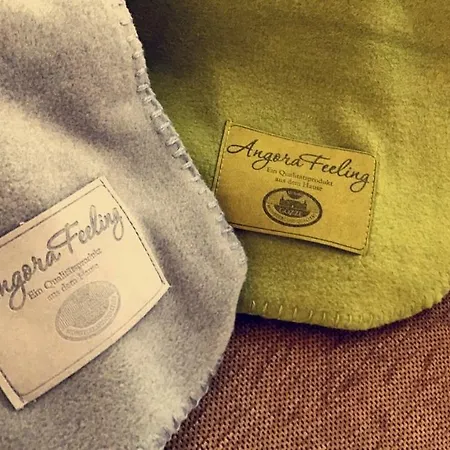 Appartement Wissembourg Wissembourg